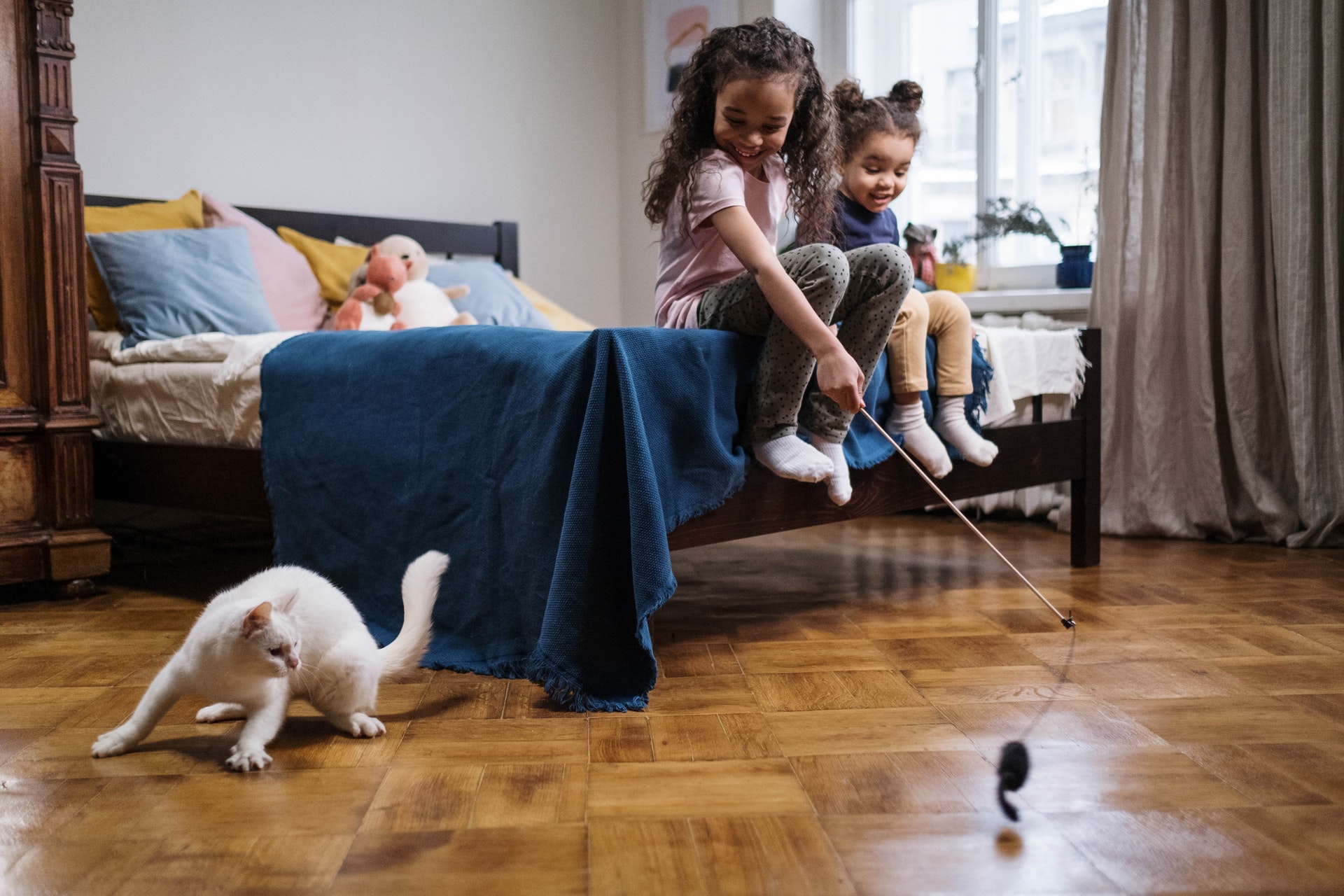 Comment garder ses enfants en sécurité avec des animaux de compagnie ?