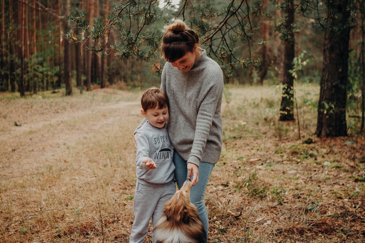 morsure de chien chez l’enfant